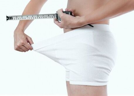 taille normale du pénis